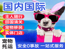 江北航空托运国际宠物托运 【国